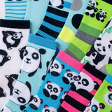 Panda Bear Socks - 12 Pairs