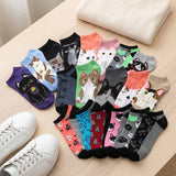 Cute Animal No Show Socks -20 Pairs