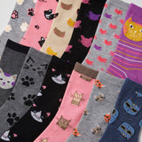 Whisker Wonderland Socks - 12 Pairs