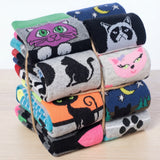 Cute Cat Socks - 12 Pairs