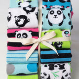 Panda Bear Socks - 12 Pairs