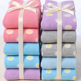 Misty Flower Blooms Patterns Socks - 12 Pairs