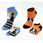 Set of four socks with cat and dog designs on a white background