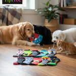 Three dogs and a cat playing with colorful dog toys on a wooden floor, with TipiToe branding.