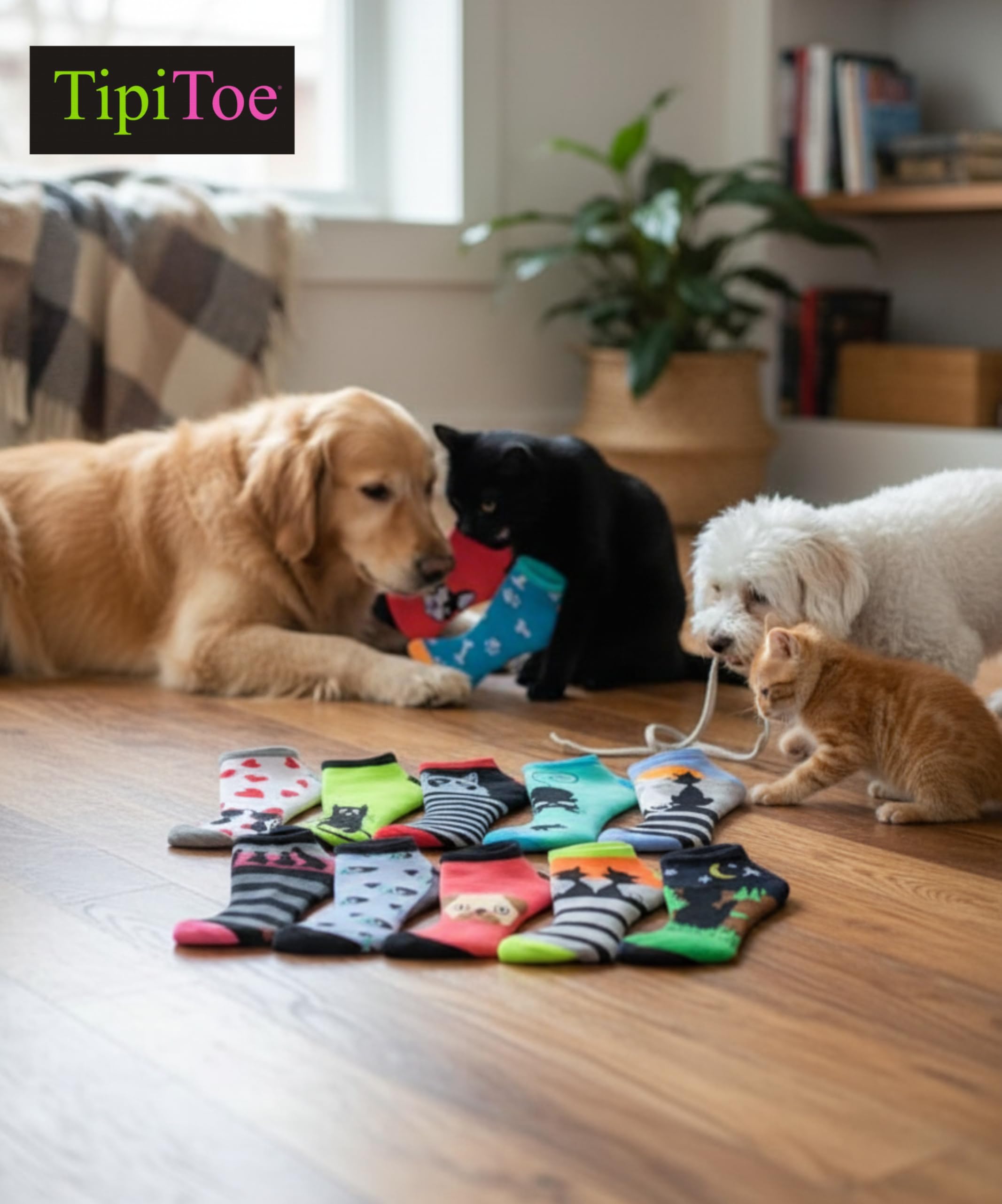 Three dogs and a cat playing with colorful dog toys on a wooden floor, with TipiToe branding.