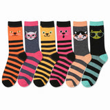 Meow Stripes socks - 6 Pack