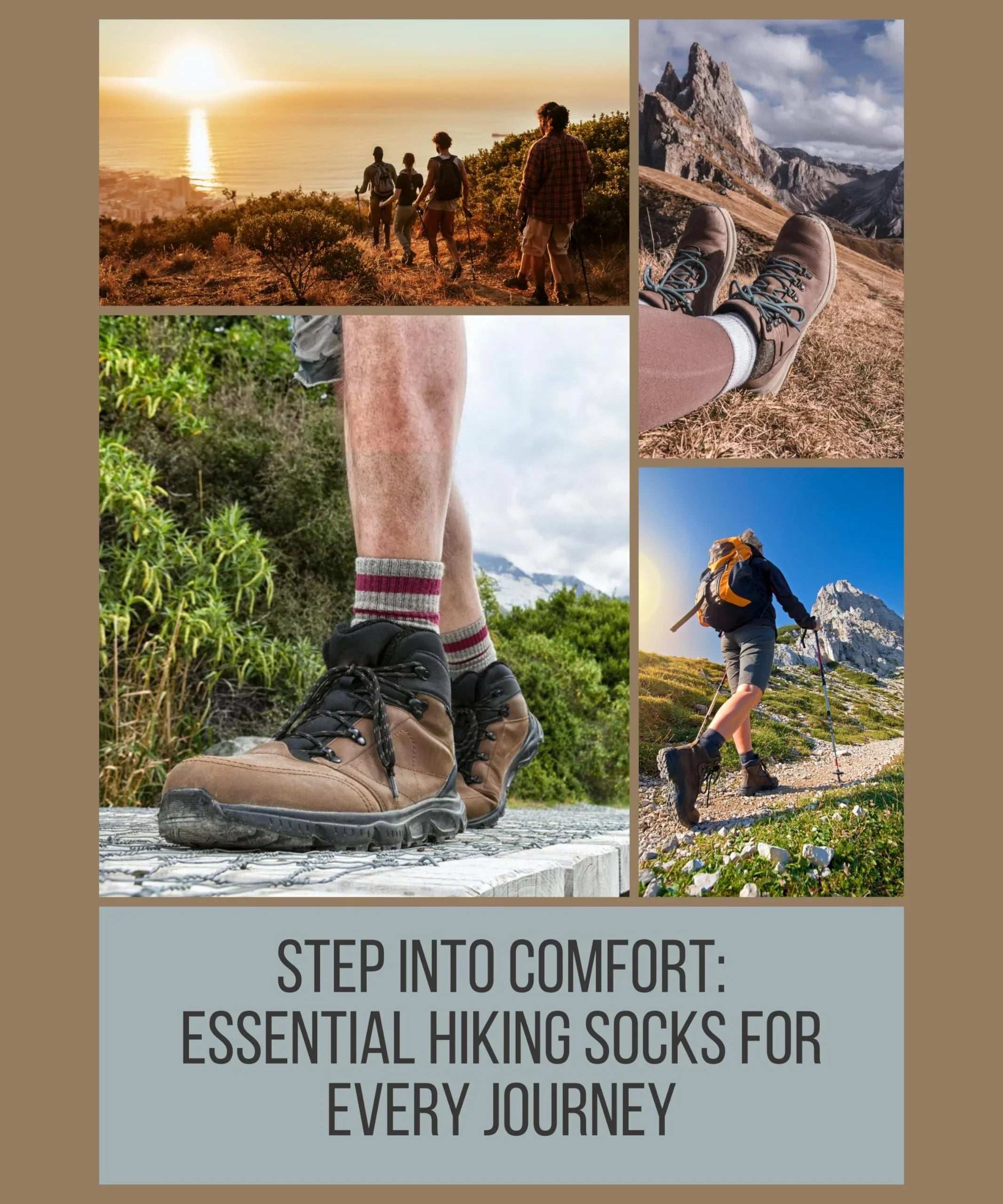 Shapes Cushioned Dress Socks 