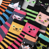 Colorful cat-themed socks with various designs on a white background