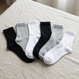 Five pairs of crew socks in black, light gray, white, dark charcoal, and medium gray are arranged in a fan shape on a beige linen surface.