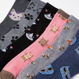 Five pairs of novelty socks arranged diagonally, featuring colorful cartoon cat and paw print patterns on gray, black, pink, blue, and navy backgrounds.